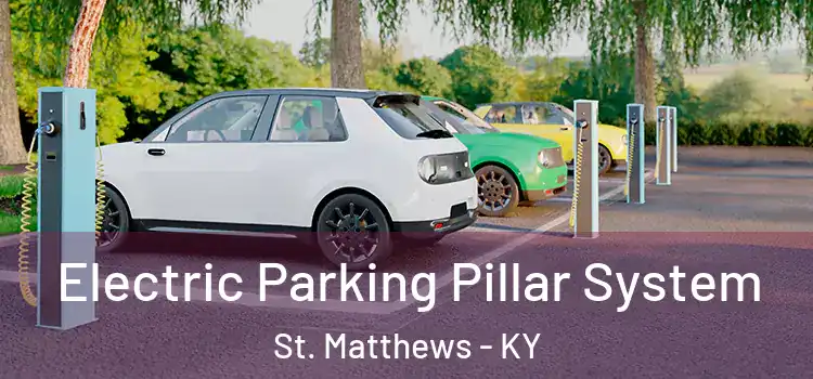 Electric Parking Pillar System St. Matthews - KY