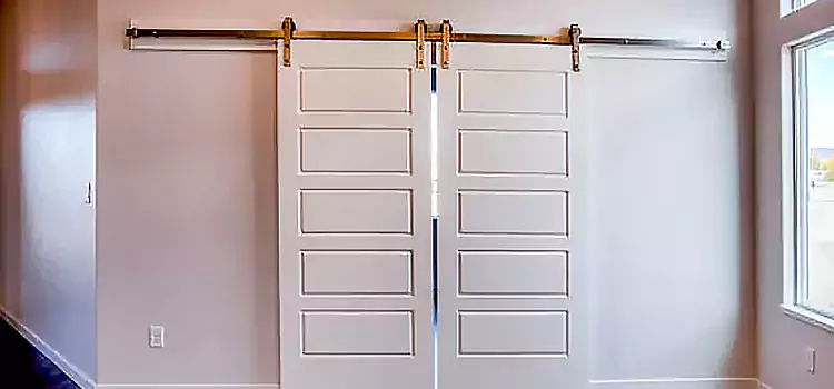 Glass Barn Door with Installation Hardware Kit St. Matthews